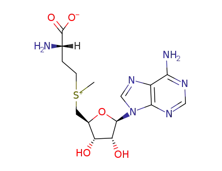 S-Adenosyl-L-methionine